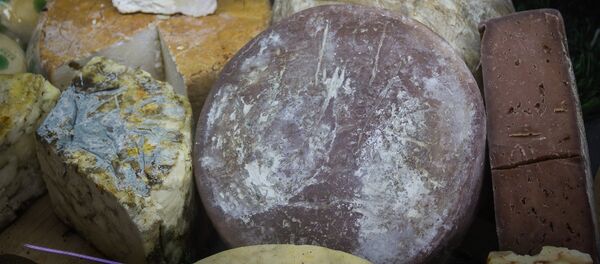 ქართული ყველის ასორტი ქართული ყველის ასორტი - Sputnik საქართველო