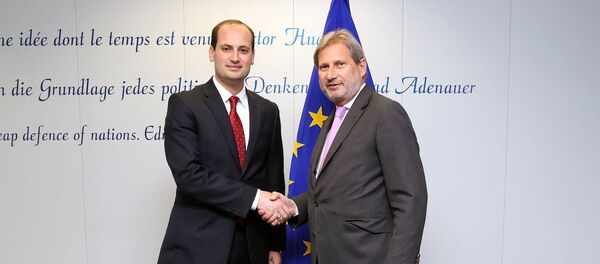 იოჰანეს ჰანი და მიხეილ ჯანელიძე - Sputnik საქართველო