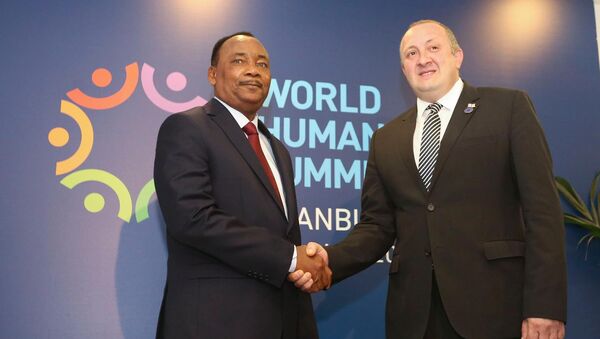 საქართველოს პრეზიდენტი ნიგერიის პრეზიდენტთან მუჰამად ბუხარისთან შეხვედრზე - Sputnik საქართველო