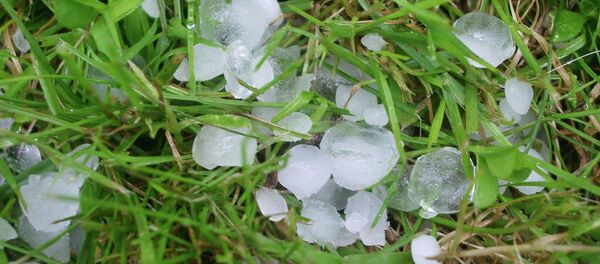 სეტყვა სეტყვა - Sputnik საქართველო