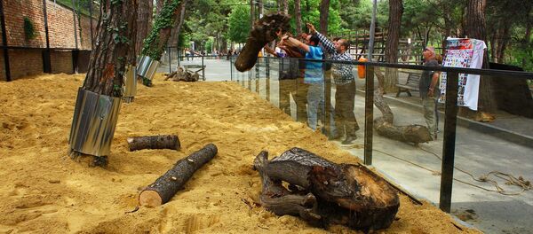 თბილისის ზოოპარკი თბილისის ზოოპარკი - Sputnik საქართველო