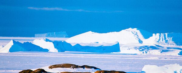 Антарктида - Sputnik Грузия