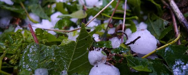 სეტყვა - Sputnik საქართველო