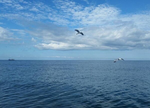 Батуми - Sputnik Грузия