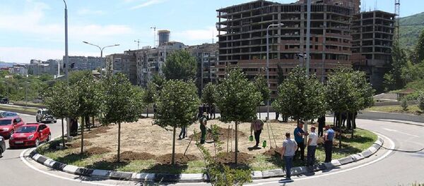 Посадка деревьев в память жертв наводнения 14 июня 2015 года - Sputnik Грузия