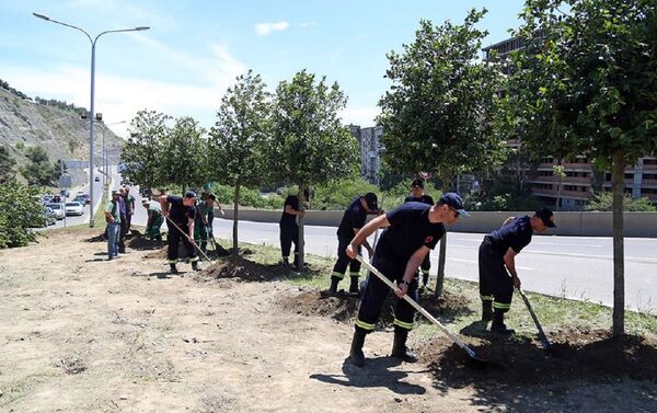 Посадка деревьев в память жертв наводнения 14 июня 2015 года - Sputnik Грузия