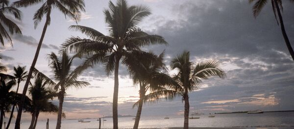 Фиджи. Песчаный пляж на острове Виту-Леви - Sputnik Грузия