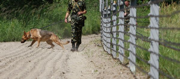 Белорусские пограничники Белорусские пограничники - Sputnik Грузия
