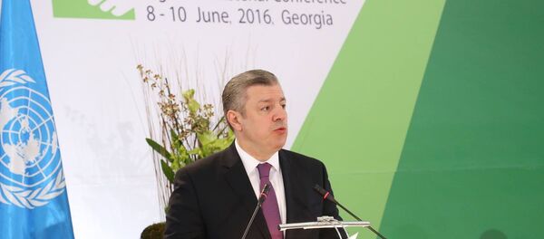 Георгий Квирикашвили на министериале Окружающая среда для Европы Георгий Квирикашвили на министериале Окружающая среда для Европы - Sputnik Грузия