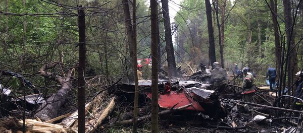 Крушение истребителя Су-27 в Подмосковье - Sputnik Грузия