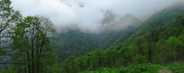 ლაგოდეხი ლაგოდეხი - Sputnik საქართველო