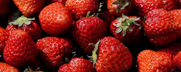 მარწყვი - Sputnik საქართველო