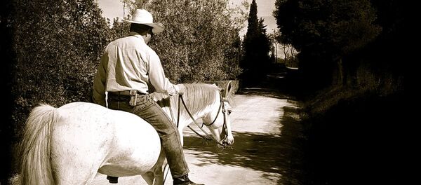 კოვბოი - Sputnik საქართველო