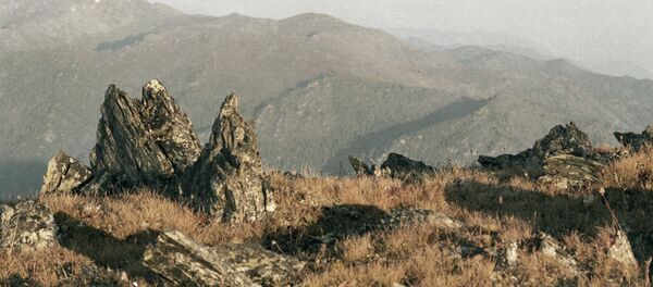 Пейзаж Горного Алтая. - Sputnik Грузия