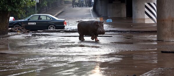 Наводнение в грузинской столице, 13 июня 2015 года - Sputnik Грузия