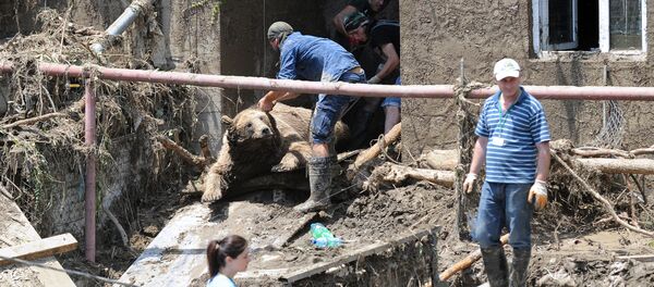 2015 წელი, წყალდიდობის შედეგები 2015 წელი, წყალდიდობის შედეგები - Sputnik საქართველო