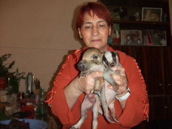 Гулико Читадзе, главная няня-смотрительница тбилисского зоопарка - Sputnik Грузия