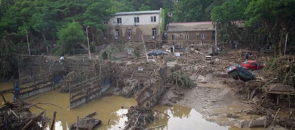 Наводнение в Тбилиси - разрушенный зоопарк, искореженные машины - Sputnik Грузия