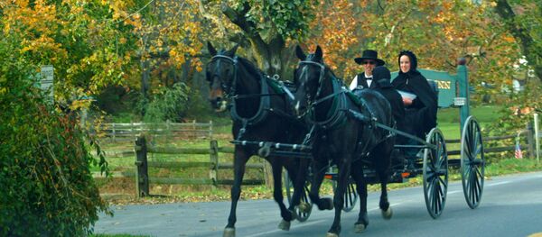 ამიშები დღემდე ცხენშებმული ეტლებით მგზავრობენ - Sputnik საქართველო