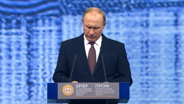 Путин на ПМЭФ: об экономике, отношениях с ЕС и евразийском партнерстве - Sputnik Грузия