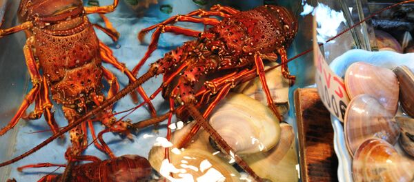 ზღვის პროდუქტები ზღვის პროდუქტები - Sputnik საქართველო