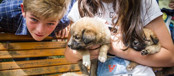 ვაკის პარკში აქციაზე მისულ ნებისმიერ მსურველს საჩუქრად გადასცემდნენ ცხოველებს. ვაკის პარკში აქციაზე მისულ ნებისმიერ მსურველს საჩუქრად გადასცემდნენ ცხოველებს. - Sputnik საქართველო
