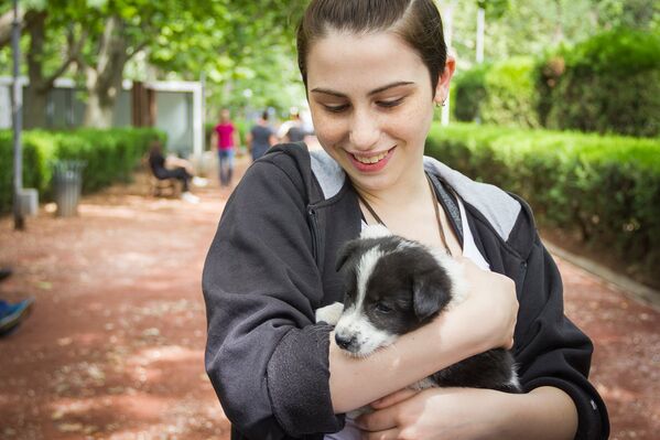 Девушка со щенком на акции по раздаче домашних животных в парке Ваке. - Sputnik Грузия