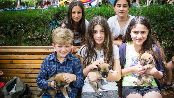 Прохожим в тбилисском парке дарили щенков и котят - Sputnik Грузия