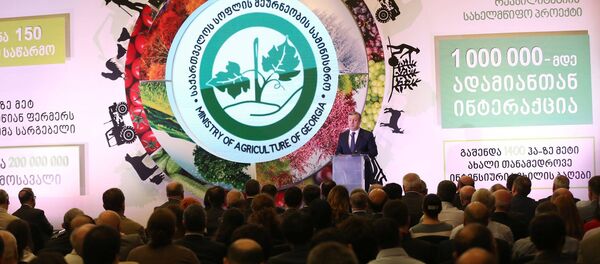 Георгий Квирикашвили на презентации Единого агропроекта - Sputnik Грузия