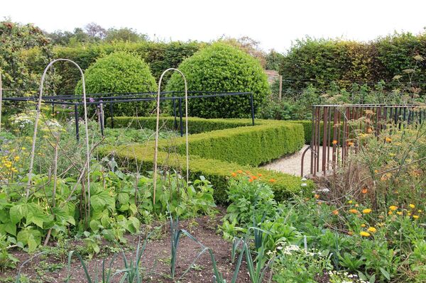 ბოსტანი ბოსტანი - Sputnik საქართველო