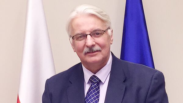 Министр иностранных дел Польши Витольд Вашчиковский - Sputnik Грузия