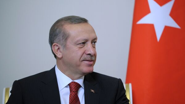 Президент Турции Тайип Эрдоган. Архивное фото. - Sputnik Грузия