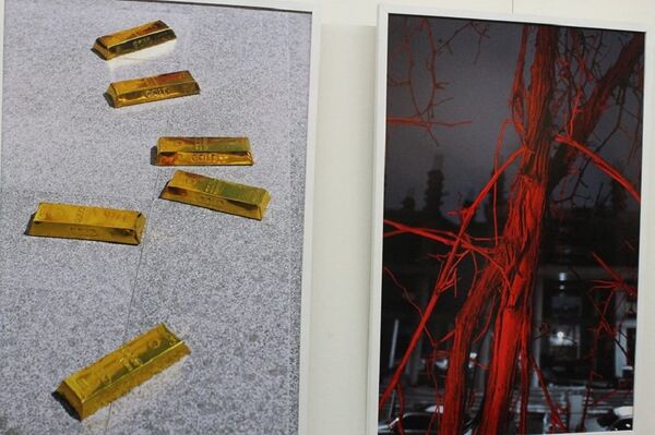 გამოფენა მწვანე გამოფენა მწვანე - Sputnik საქართველო