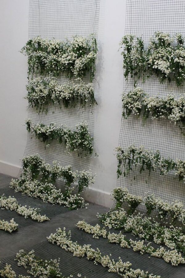 გამოფენა მწვანე გამოფენა მწვანე - Sputnik საქართველო