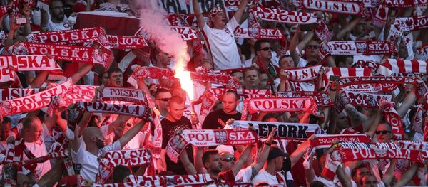 Футбол. Чемпионат Европы - 2016. Матч Украина - Польша - Sputnik Грузия