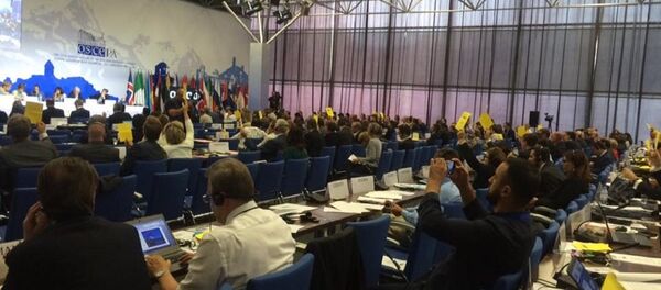 ეუთოს ასამბლეა - Sputnik საქართველო