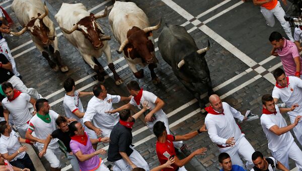 Забег быков по улицам испанской Памплоны - Sputnik Грузия