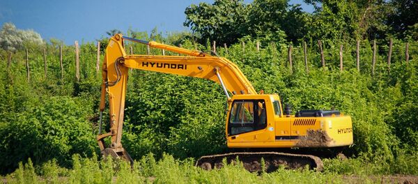 სტიქიის სალიკვიდაციო სამუშაოები სტიქიის სალიკვიდაციო სამუშაოები - Sputnik საქართველო