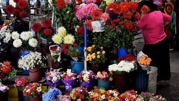 Торговля цветами на улице - Sputnik Грузия