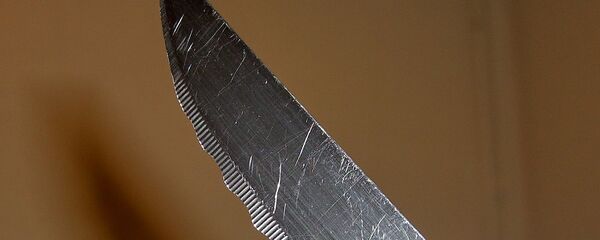 დანა დანა - Sputnik საქართველო