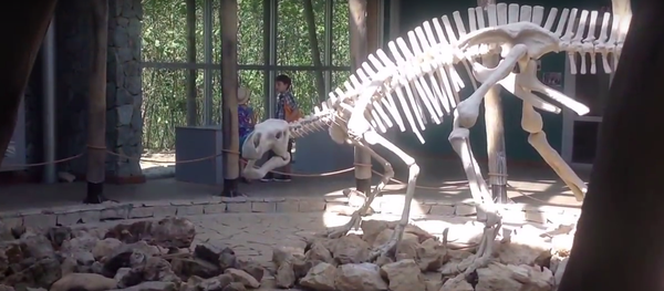 Пещера Сатаплия - Sputnik Грузия