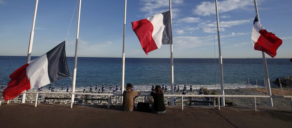 Приспущенные в знак траура в связи с терактом в Ницце флаги Франции - Sputnik Грузия