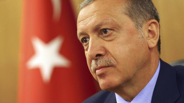 Президент Турции Тайип Реджеп Эрдоган - Sputnik Грузия