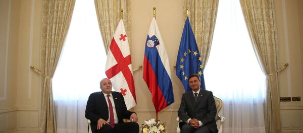 საქართველოსა და სლოვენიის პრეზიდენტები საქართველოსა და სლოვენიის პრეზიდენტები - Sputnik საქართველო