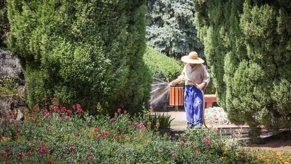 Садовник поливает цветы в Тбилисском Ботаническом саду - Sputnik Грузия