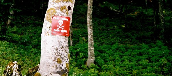 Предупреждающий знак в Боснии - впереди минное поле - Sputnik Грузия