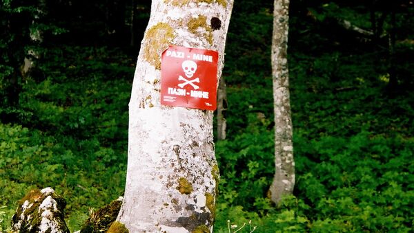Предупреждающий знак в Боснии - впереди минное поле - Sputnik Грузия