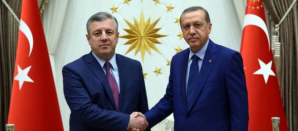 გიორგი კვირიკაშვილი და რეჯეფ თაიიფ ერდოღანი გიორგი კვირიკაშვილი და რეჯეფ თაიიფ ერდოღანი - Sputnik საქართველო