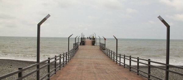 Пирс у входа в Ботанический сад на Зеленом мысе - Sputnik Грузия