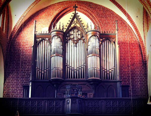 ორგანი ორგანი - Sputnik საქართველო